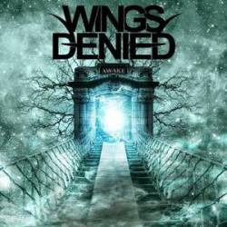 Wings Denied : Awake